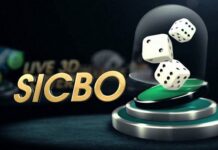 Sicbo là gì? Cách chơi Sicbo tại Live Casino